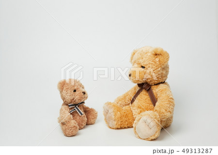 動物 人形 子供 49313287