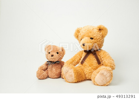動物 人形 子供 49313291