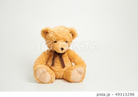 動物 人形 子供 49313296