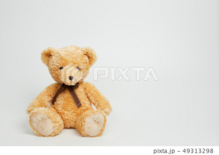動物 人形 子供 49313298
