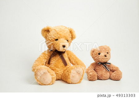 動物 人形 子供 49313303
