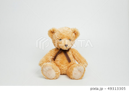 動物 人形 子供 49313305