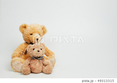 動物 人形 子供 49313315