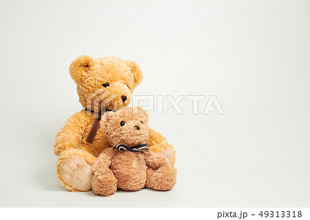 動物 人形 子供 49313318