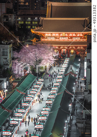 浅草寺の桜 49313382