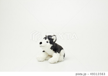 犬 子犬 人形 49313563