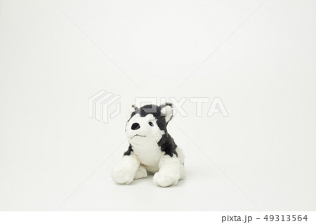 犬 子犬 人形 49313564