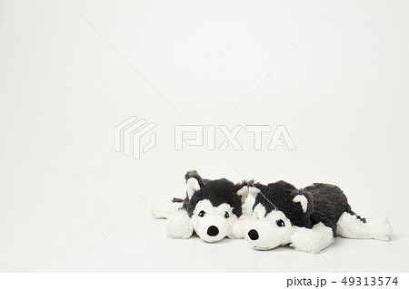 犬 子犬 人形 49313574