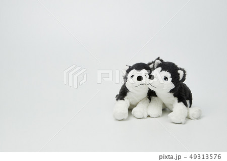 犬 子犬 人形 49313576