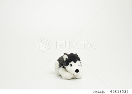 犬 子犬 人形 49313582