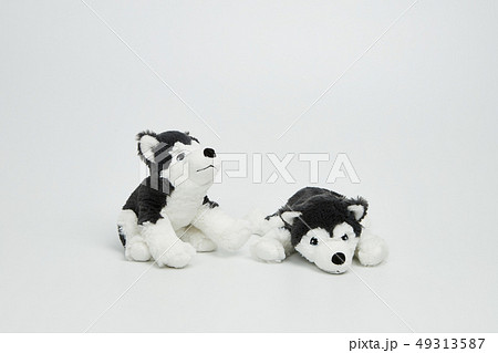 犬 子犬 人形 49313587