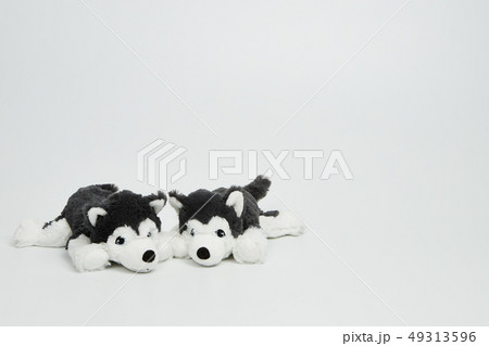 犬 子犬 人形 49313596