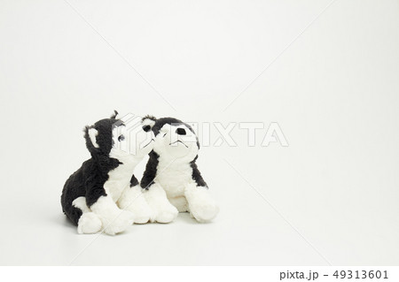 犬 子犬 人形 49313601
