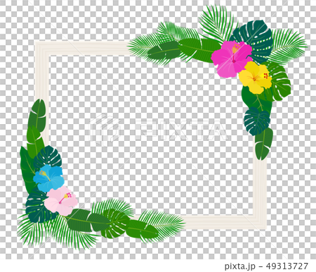 南国の植物や花と額縁のイラスト素材