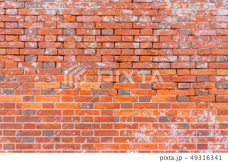 赤レンガの壁 49316341