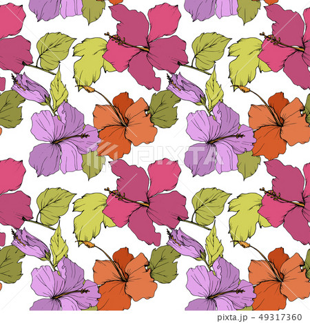 Vector Hibiscus floral botanical flower. Engraved ink art. Seamless background pattern. Fabric 49317360