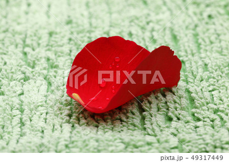 Rose Petal on green towel Rose Petal on green towel 49317449