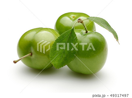 Fresh green plums with leaf isolated on white 49317497
