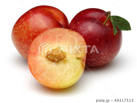 Red and yellow plums with leaves isolated on white Red and yellow plums with leaves isolated on white 49317513