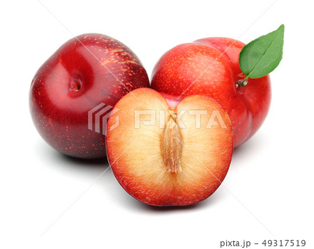 Red plums with leaf isolated on white Red plums with leaf isolated on white 49317519