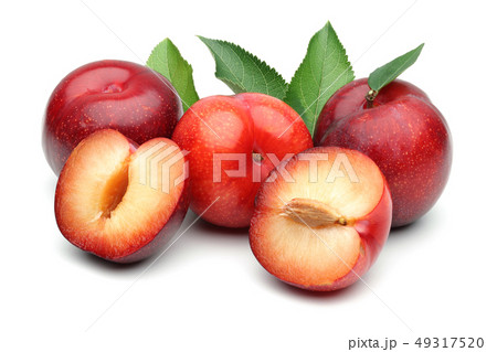 Red plums with leaf isolated on white 49317520