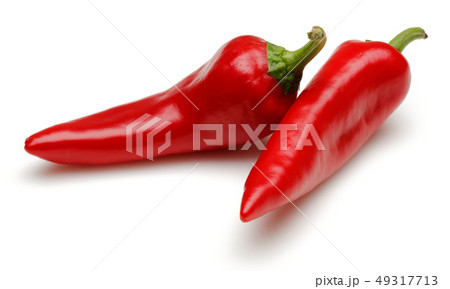 Fresh red peppers isolated on white 49317713