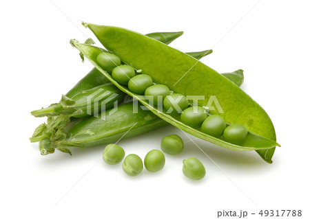 Fresh green pea isolated on white Fresh green pea isolated on white 49317788