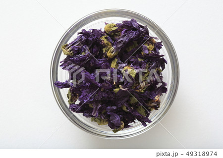 《ハーブ》 ブルーマロウ 《ハーブ》 ブルーマロウ 49318974