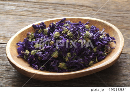 《ハーブ》　ブルーマロウ 49318984