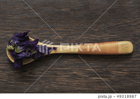 《ハーブ》 ブルーマロウ 《ハーブ》 ブルーマロウ 49318987