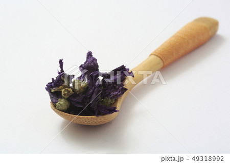 《ハーブ》 ブルーマロウ 《ハーブ》 ブルーマロウ 49318992