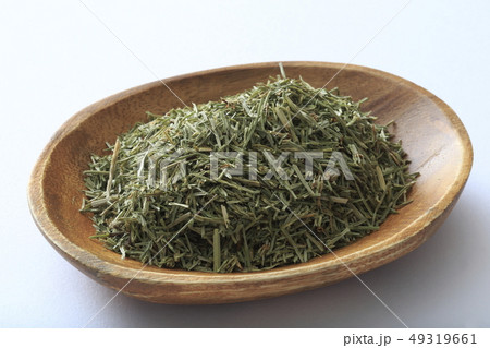 《ハーブ》 ホーステール 《ハーブ》 ホーステール 49319661