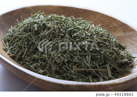 《ハーブ》　ホーステール 49319662