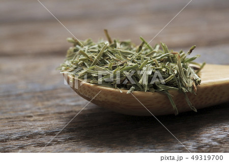 《ハーブ》　ホーステール 49319700