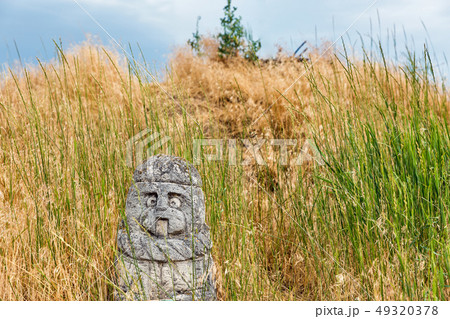 Ancient stone idol of Khortytsia island, Ukraine Ancient stone idol of Khortytsia island, Ukraine 49320378
