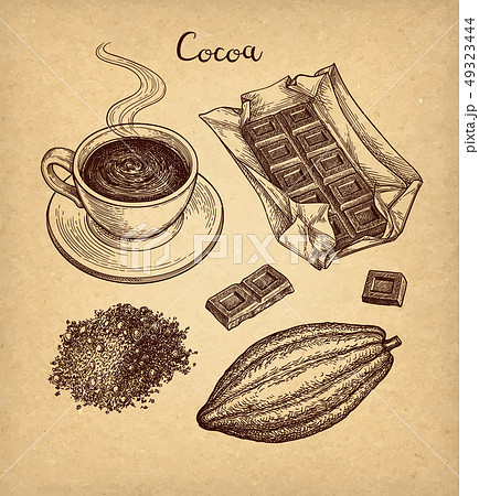 Cocoa and chocolate set. Cocoa and chocolate set. 49323444