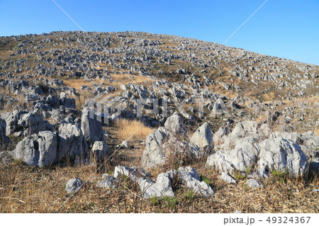 山口県　秋吉台　初春　長者ヶ森～地獄台付近 49324367