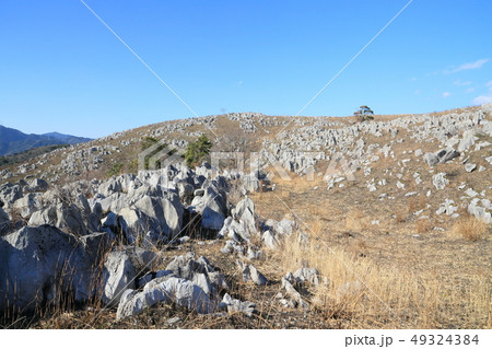 山口県　秋吉台　初春　長者ヶ森～地獄台付近 49324384