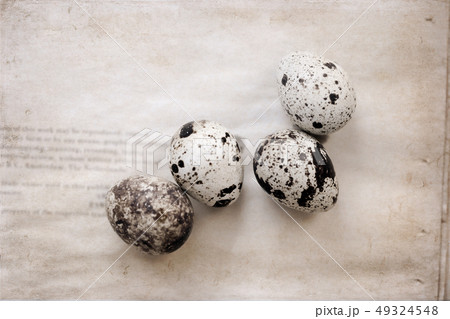 Artwork in retro style, quail eggs Artwork in retro style, quail eggs 49324548