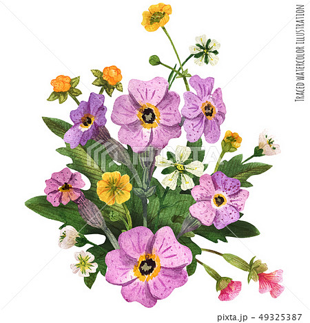 Scottish wild plants boutonniere 49325387