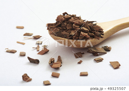 《ハーブ》　ホワイトウィロウ 49325507