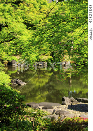 旧古河庭園 旧古河庭園 49325848