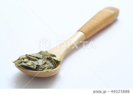 《ハーブ》　マテ　マテ茶 49325886