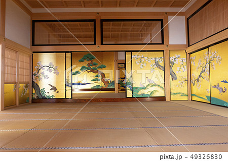 対面所/本丸御殿/名古屋城/愛知県 対面所/本丸御殿/名古屋城/愛知県 49326830