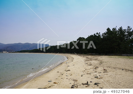 気比の松原　松林 49327046