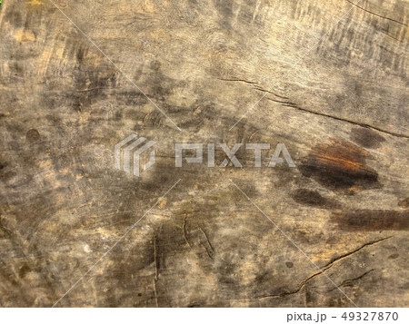 Old wood texture natural pattern. 49327870