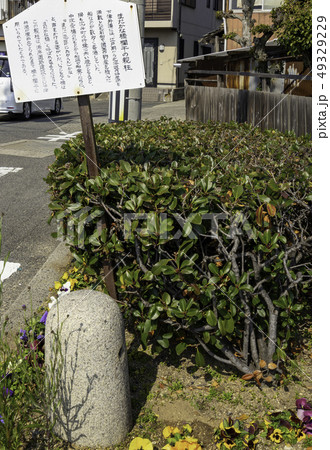 岡山　倉敷市児島　下津井　まだかな橋跡　欄干の親柱 49329229