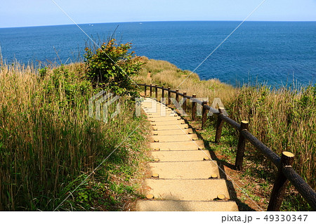 尼御前岬 尼御前岬 49330347