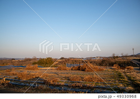 群馬県甘楽町 西原西付近 夕景 田園風景 群馬県甘楽町 西原西付近 夕景 田園風景 49330968