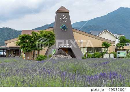 【河口湖　ラベンダー】 49332004